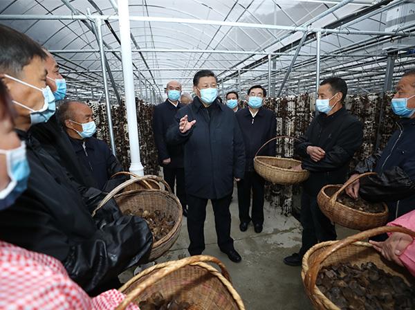 習(xí)近平總書記考察中國中鐵援建的金米村智能連棟木耳大棚